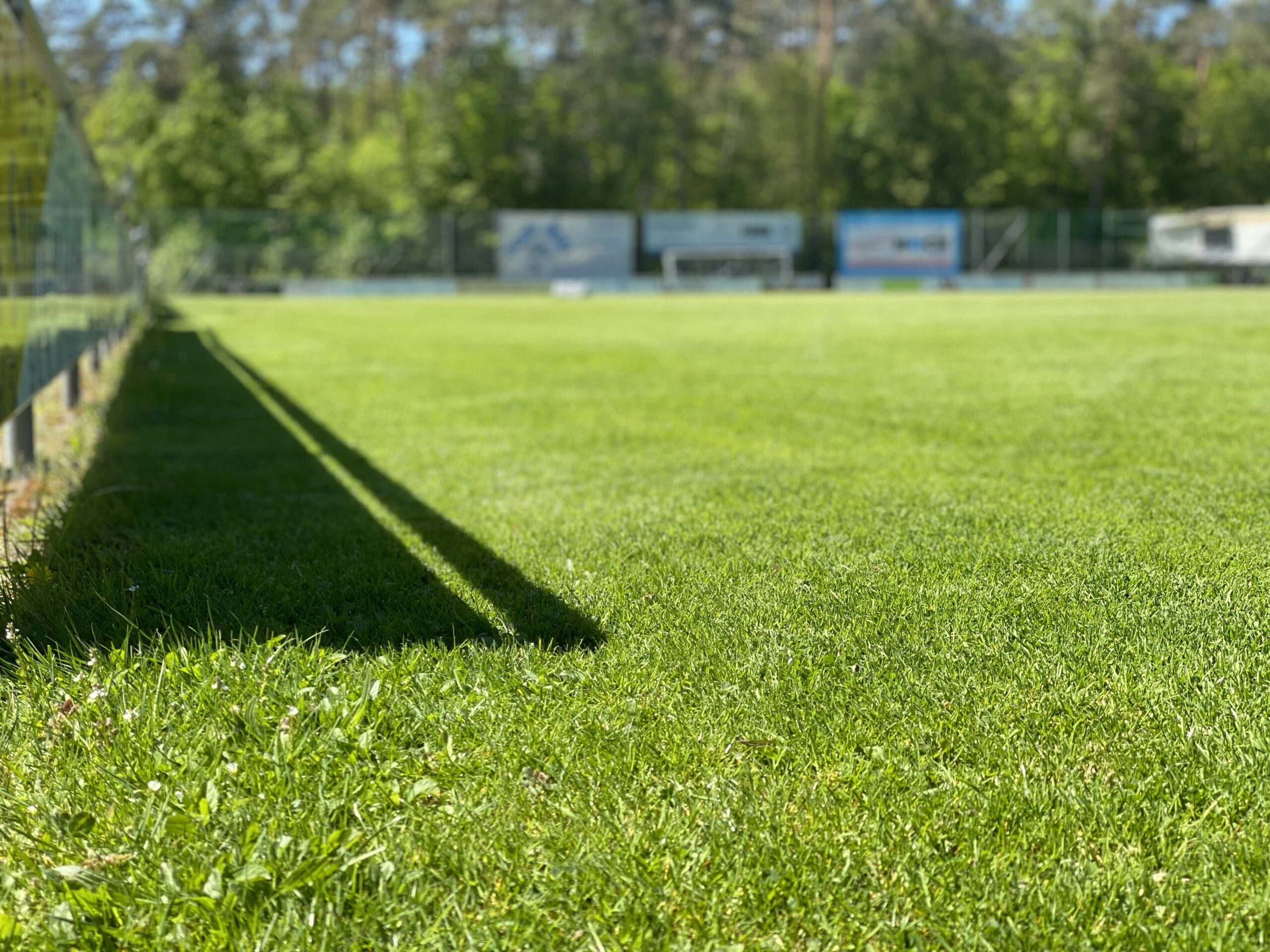 Saisoninterview TSV Heimbuchenthal